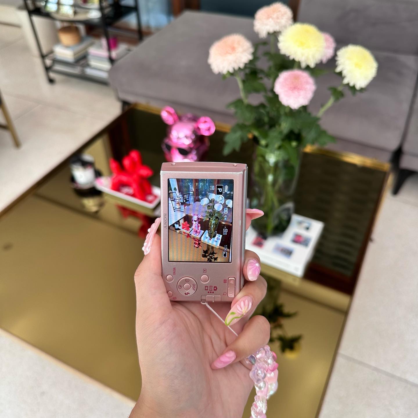 sony cybershot w510